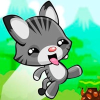 Bob Cat Runner